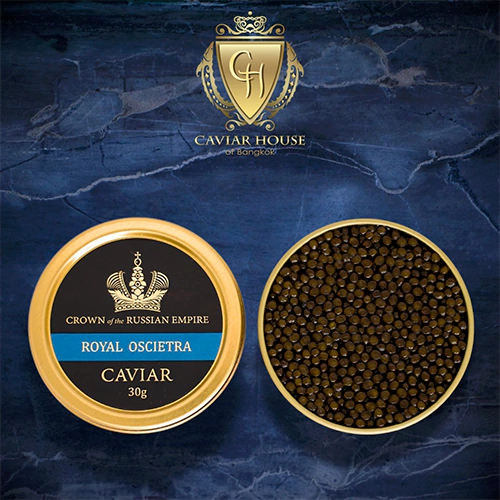 Royal Oscietra (Hybrid)