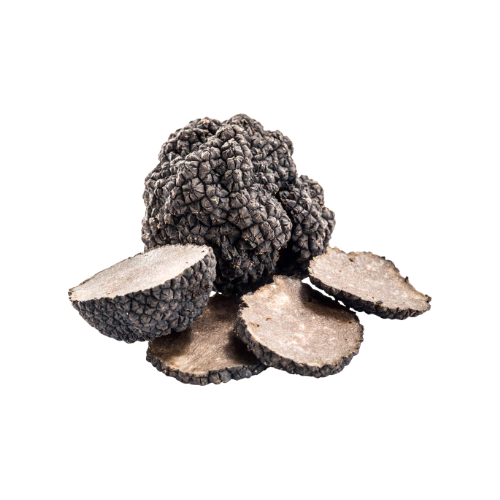 Black Summer Truffle